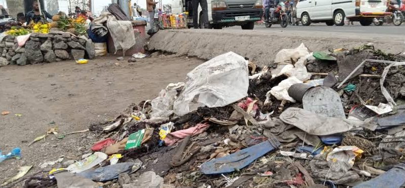 Santé/environnement : comment les déchets tuent-ils l’homme et la nature ?